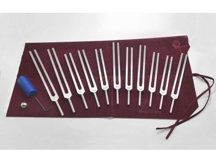 11er Set Planeten Stimmgabeln Tuningforks Klangschwingung de n ml