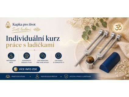 individ kurz