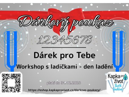poukaz workshop