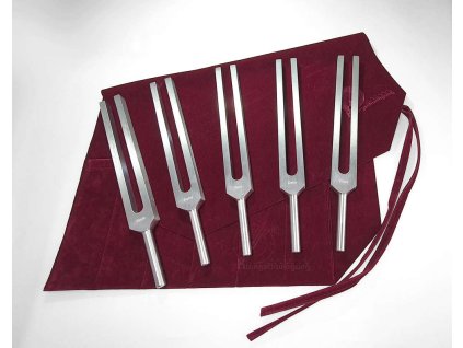 5er Set Braintuner Stimmgabeln Tuningforks Klangschwingung de ml