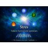 stres workshop