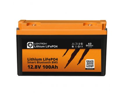 Lithium LiFePO4 LX Smart BMS 12.8V 100Ah 01