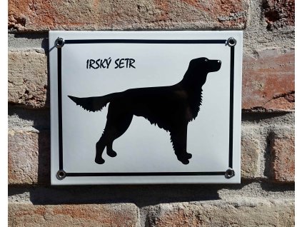irskysetr2