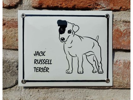 jackrussell2