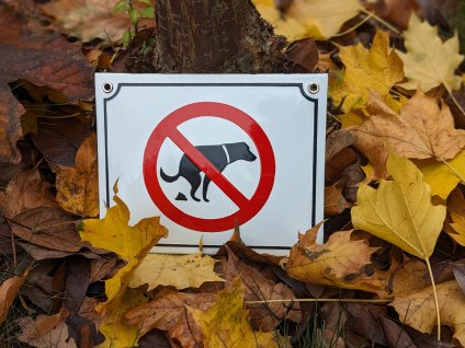 PXL 20231114 111013996.PORTRAIT