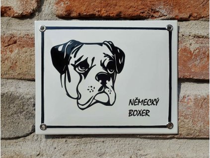 boxer2
