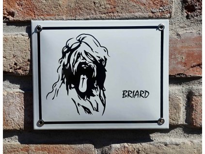 briard2