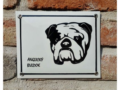 buldok2