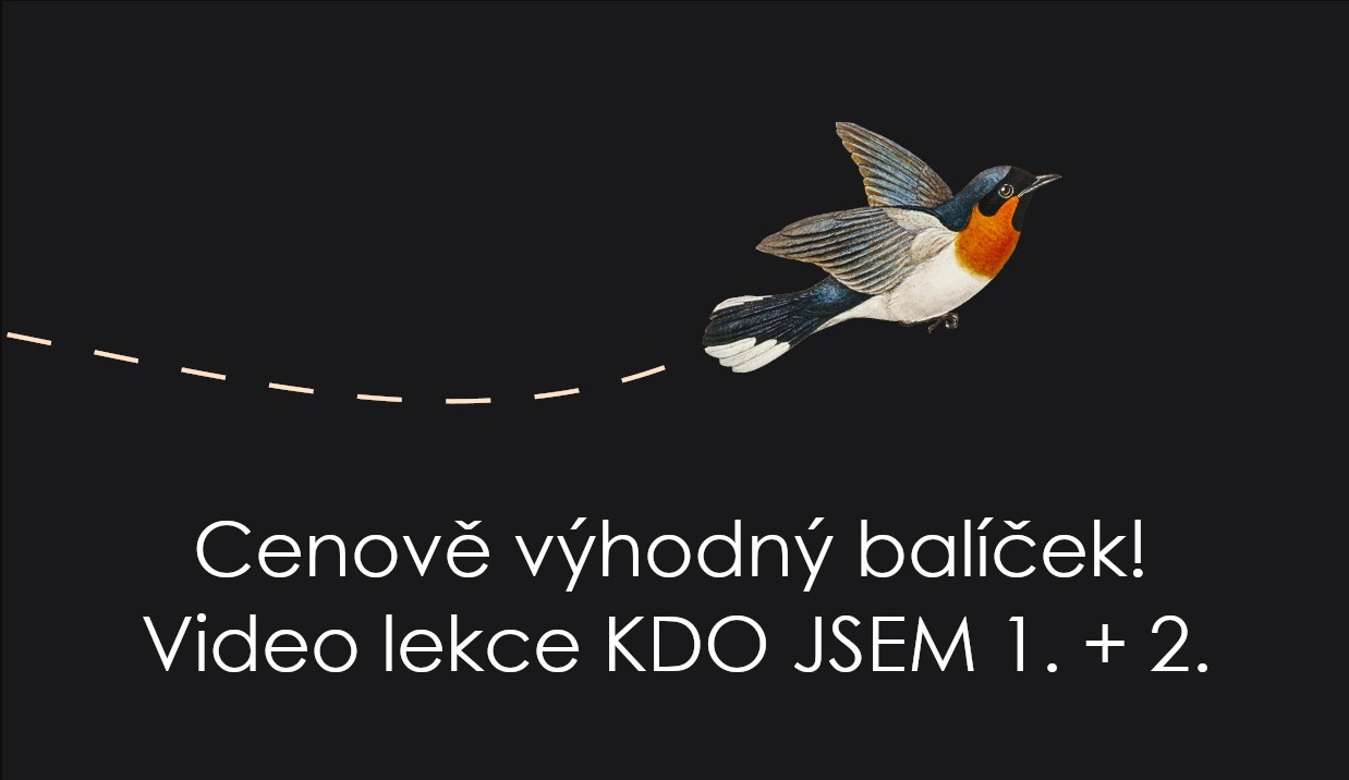 Video lekce