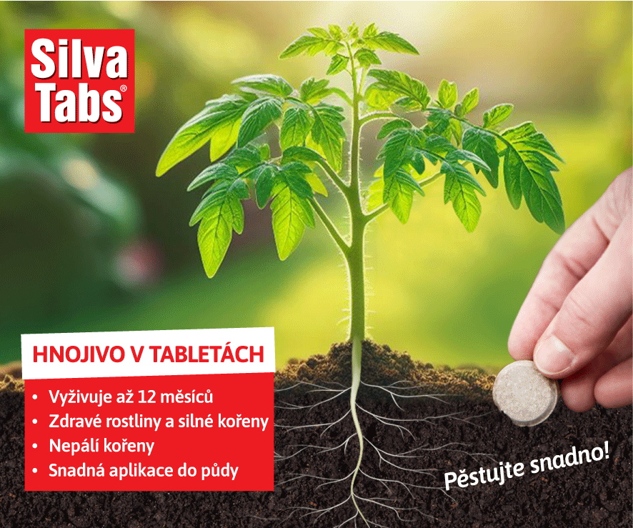 Silva Tabs - responziv