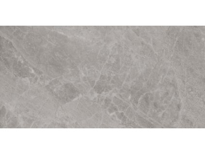 Vives Flysch-Spr Gris 119,3x59,3 (4W34)