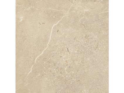 Paradyz Sunnydust beige gres szkl rekt mat 59,8x59,8 (3580536)