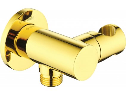 DEANTE - Cascada zlato - Úhlová hadicová spojka, kulatá, s držákem ruční sprchy NAC_Z57K