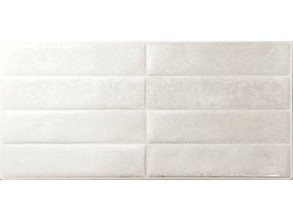 El Molino Dream white 30x60 (5302099)