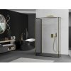 MEXEN/S - Kioto Sprchová zástěna WALK-IN 110 x 100 x 30, černý vzor, zlatá 800-110-100-221-50-70-030