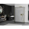 MEXEN/S - Kioto Sprchová zástěna WALK-IN volněstojící 100 x 30 x 30, černý vzor, zlatá 800-100-030-222-50-70-030