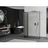 MEXEN/S - Kioto Sprchová zástěna WALK-IN 100 x 80, černý vzor, zlatá 800-100-212-50-70-080