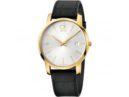 Pánské hodinky Calvin Klein K2G2G5C6 City