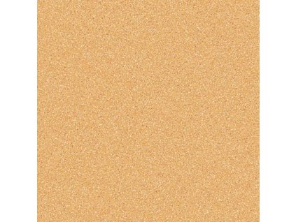 Rochester Carnival 937