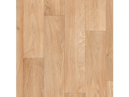 Rochester Camargue 610