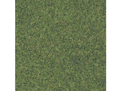 Trávový koberec Rasen zelená