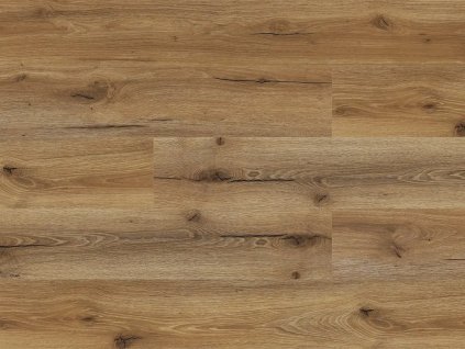 Experto Click SPC 50 1036H-2 Dub Navarro