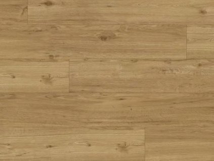 Experto Click SPC 50 6110-71 Dub Ravello