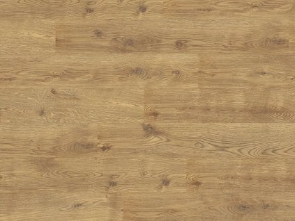 E-motion 8/31 EPL089 Grove Eiche Classic Clic it