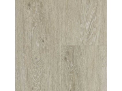 SolidCore Xciting 2mm lep 62202 Dub Harmony biely