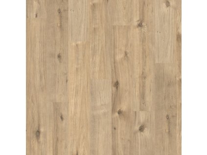 Basic 7/31 CI V4 EBL006 Dub Achensee