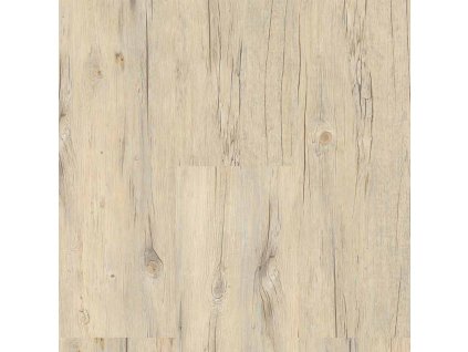 Ecoline Click 9503 Borovice bílá rustikal
