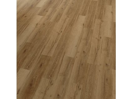 Conceptline Acoustic Click 30135 Dub Valencie