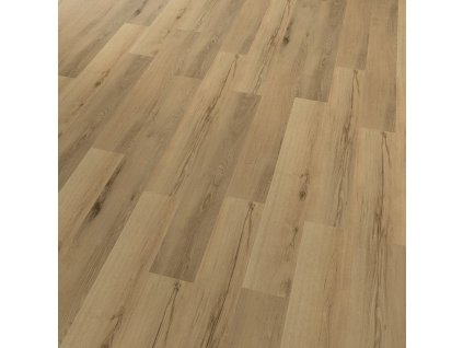 Conceptline Acoustic Click 30133 Dub Berlin