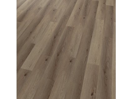 Conceptline Acoustic Click 30136 Dub Florencie