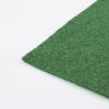 GRASS 41