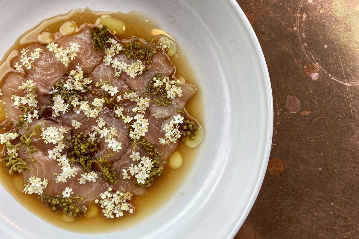 Shiokoji ceviche with pickled unripe elderberries