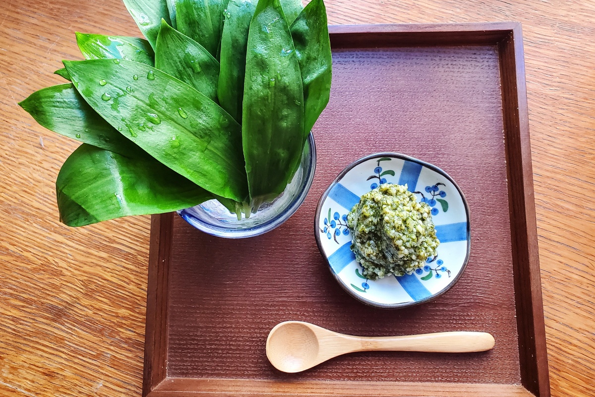 (Shio)Koji with wild garlic