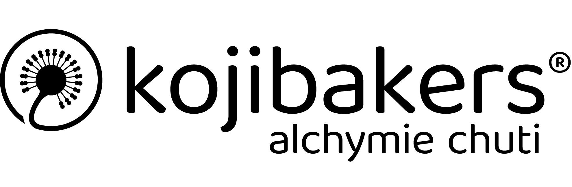 logo_horizontal_cz_black