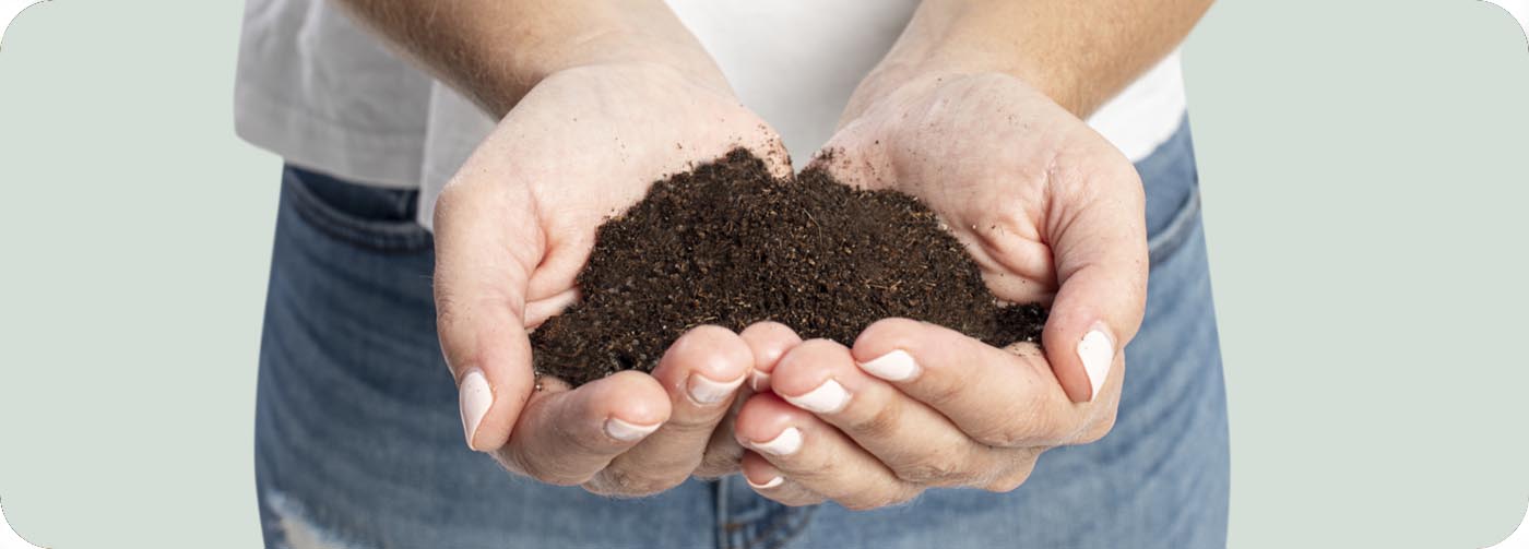 Kvalita kompostu a půda: kdy je kompost hotový a jak ho správně použít