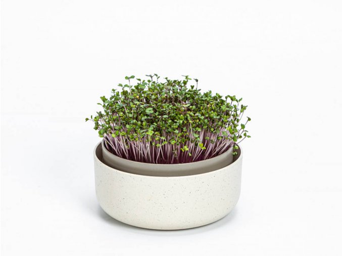 microgreens