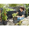 Obal Green Basics Tomato Pot living black 33 cm 4
