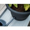 Obal Green Basics Tomato Pot living black 33 cm