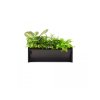 plant box vertikalni zahradka 10
