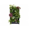 plant box vertikalni zahradka 1