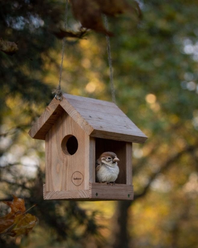 😏 Celé Česko se na chvíli zastaví a zaposlouchá se do ptačího zpěvu. 🫶🏻 Ptačí hodinka je letos opět celorepubliková a...