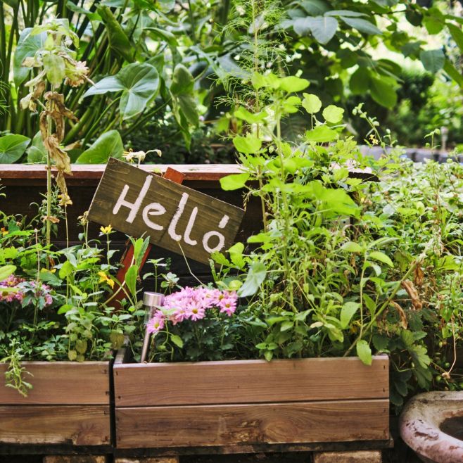 🌱 Komunitní kompostování v Maďarsku V Szegedu díky iniciativě Komposztfutár jde krásně vidět, jak může kompostování...