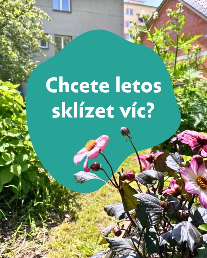 🌿 Nová zahrada, nebo posun té stávající? Zelené oázy podpoří obojí. Vybavením i mentoringem. 👉 Přihlášky jen do 30. 4.