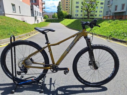 4Ever Nelly Elite 2025