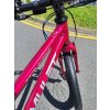 Amulet 20 Tomcat 2025 Raspberry/Silver