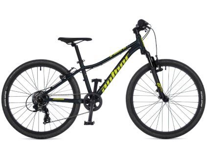 author a matrix 24 2026 cerna limeta